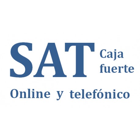 SERVICIO DE ASISTENCIA CAJA FUERTE ONLINE Y TELEFONICO