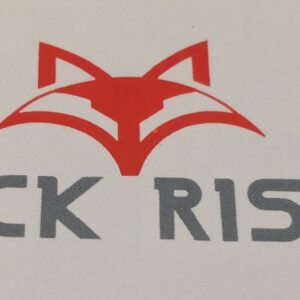 Recambios Stok Risk