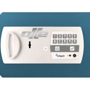 PUERTA 81LE. RECAMBIO PARA CAMBIAR PUERTA CAJA FUERTE OLLE SERIE 800. 81LE. MODELOS 801LE, S801LE. CERRADURA DE LLAVE DE GORJAS 