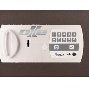 PUERTA 11LE. RECAMBIO PARA CAMBIAR PUERTA CAJA FUERTE OLLE 1001LE. CERRADURA DE LLAVE Y ELECTRÓNICA