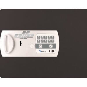 PUERTA 12LE. RECAMBIO PARA CAMBIAR PUERTA CAJA FUERTE OLLE 1002LE y S1002LE . CERRADURA DE LLAVE Y ELECTRÓNICA