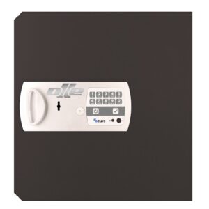 PUERTA 13LE. RECAMBIO PARA CAMBIAR PUERTA CAJA FUERTE OLLE 1003LE, S1003LE y S1005LE . CERRADURA DE LLAVE Y ELECTRÓNICA