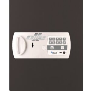 PUERTA 14LE. RECAMBIO PARA CAMBIAR PUERTA CAJA FUERTE OLLE 1004LE. CERRADURA DE LLAVE Y ELECTRÓNICA