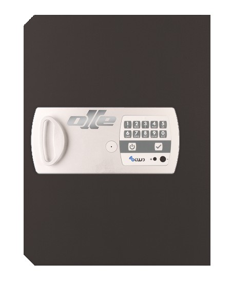 PUERTA 14E. RECAMBIO PARA CAMBIAR PUERTA CAJA FUERTE OLLE 1004E. ELECTRÓNICA