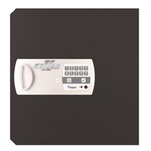 PUERTA 13E. RECAMBIO PARA CAMBIAR PUERTA CAJA FUERTE OLLE 1003E, S1003E y S1005E. ELECTRÓNICA