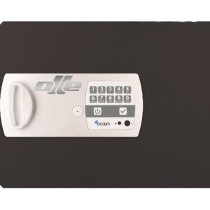 PUERTA 12E. RECAMBIO PARA CAMBIAR PUERTA CAJA FUERTE OLLE 1002E y S1002E . ELECTRÓNICA