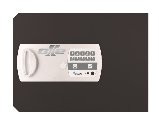 PUERTA 12E. RECAMBIO PARA CAMBIAR PUERTA CAJA FUERTE OLLE 1002E y S1002E . ELECTRÓNICA