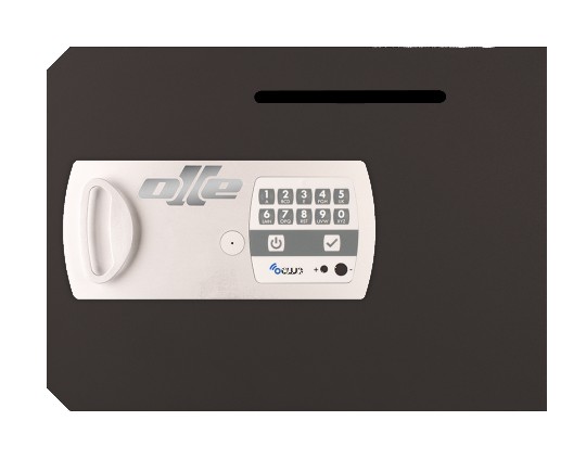 PUERTA 12EL CON RANURA. RECAMBIO PARA CAMBIAR PUERTA CAJA FUERTE OLLE 1002EL y S1002EL. ELECTRÓNICA