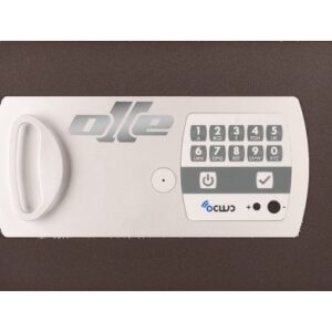 PUERTA 11E. RECAMBIO PARA CAMBIAR PUERTA CAJA FUERTE OLLE 1001E. ELECTRÓNICA