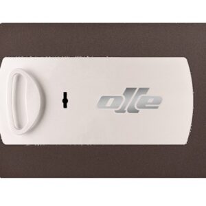 PUERTA 11L. RECAMBIO PARA CAMBIAR PUERTA CAJA FUERTE OLLE 1001L. CERRADURA DE LLAVE