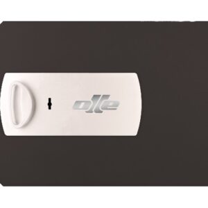 PUERTA 12L. RECAMBIO PARA CAMBIAR PUERTA CAJA FUERTE OLLE 1002L y S1002L. CERRADURA DE LLAVE